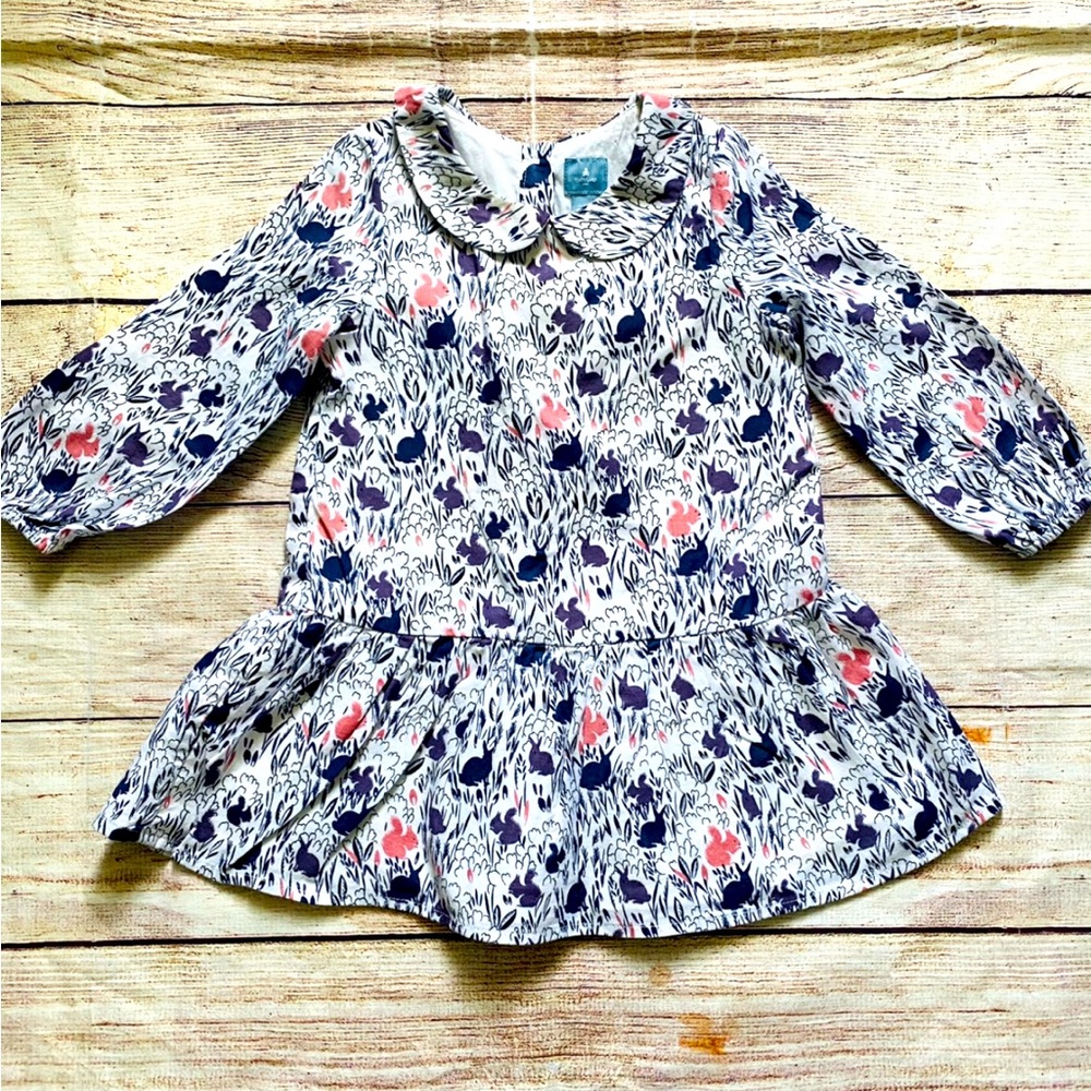 Gap 18-24 Months Pink & Purple Rabbit Dress with Peter Pan Collar